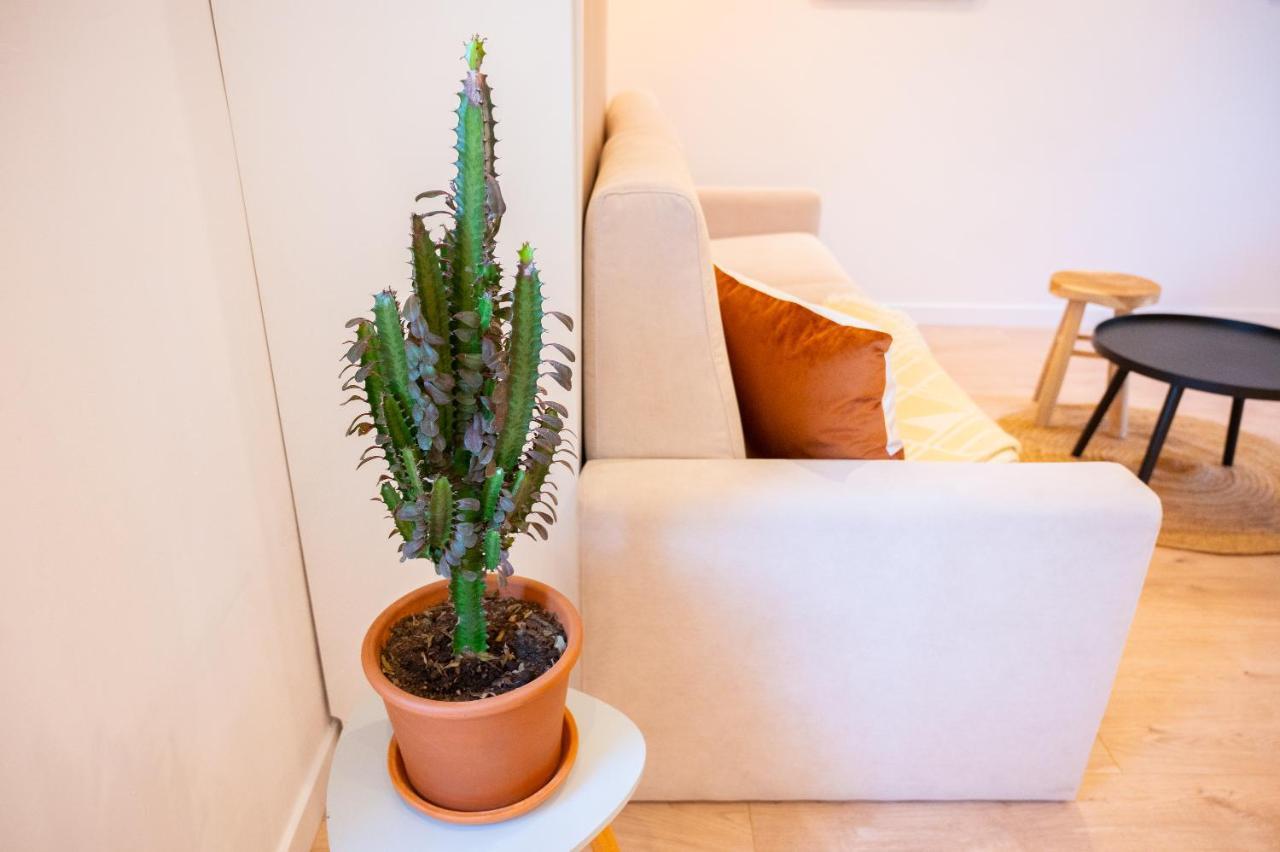 קרקראן Appartement Cocooning Proche Mer מראה חיצוני תמונה