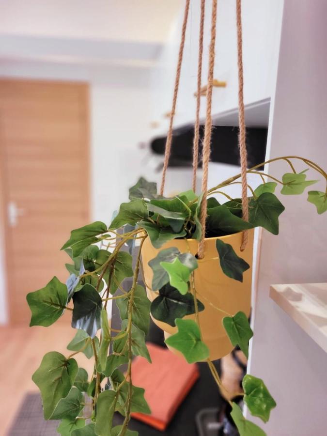 קרקראן Appartement Cocooning Proche Mer מראה חיצוני תמונה